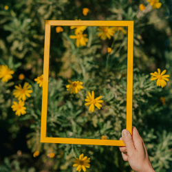Image showing the Marco Frame, A5, Naples Yellow product.