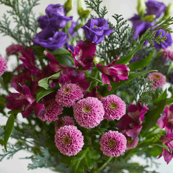Image showing the Letterbox 6 Month Flower Subscription product.