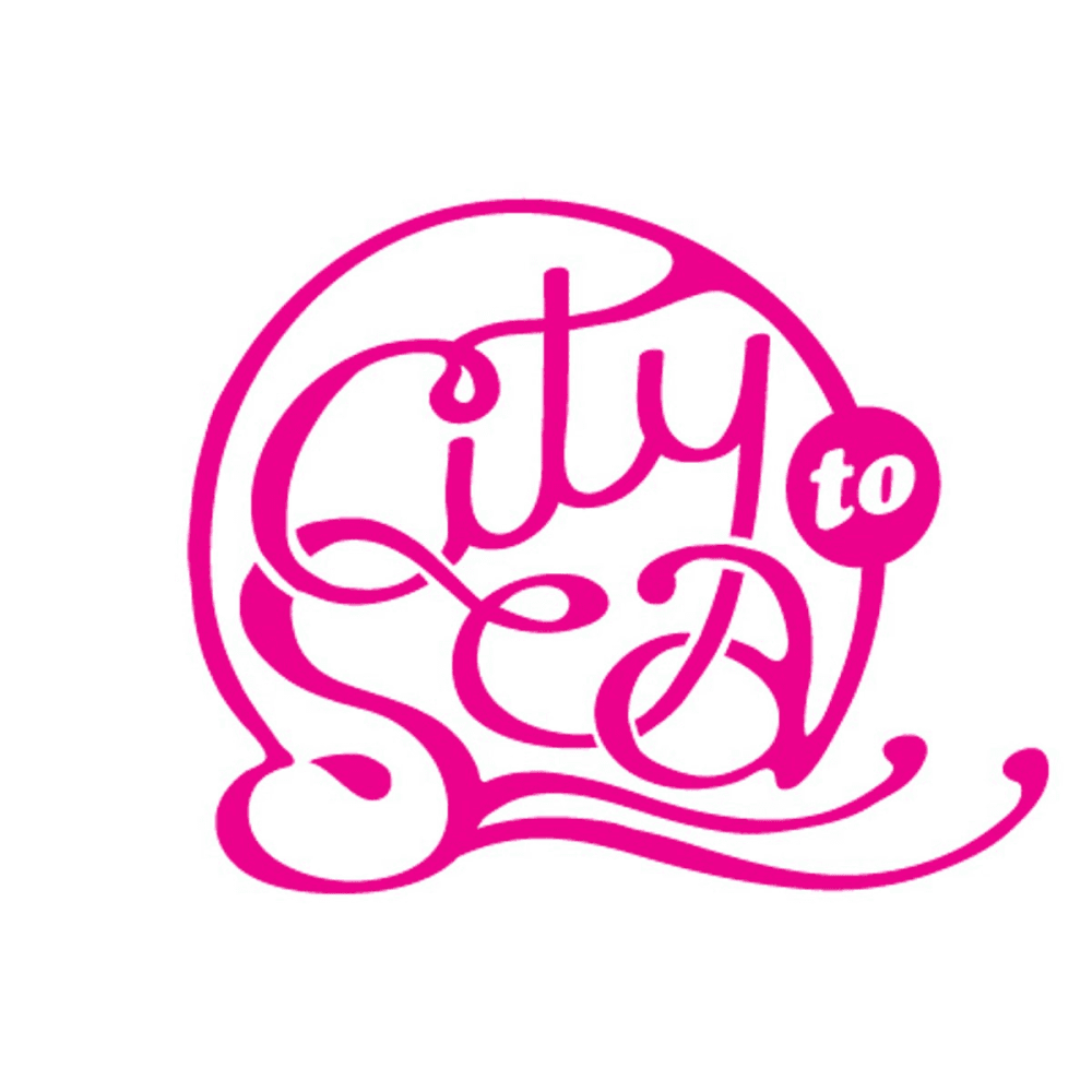 A Donation Towards City to Sea