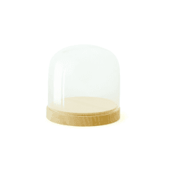 Image showing the Pleasure Dome Small display case, W12.5 x H13cm, Beech product.