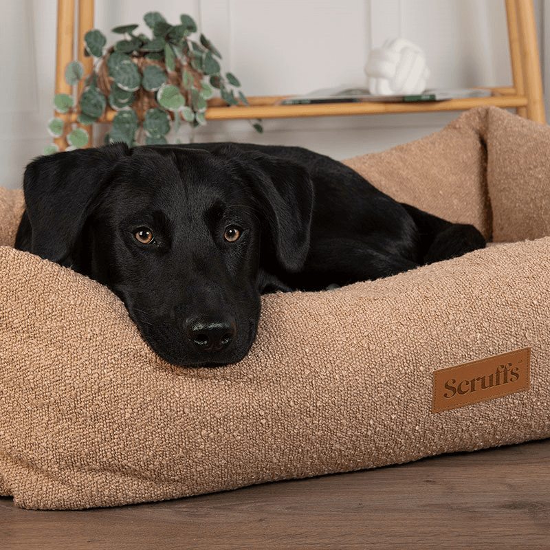 Luxury Boucle Box Bed, 75 x 60cm, Desert Tan