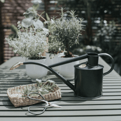 Image showing the The Rowley Ripple Multi Purpose Watering Can, 2 Pint, Graphite product.