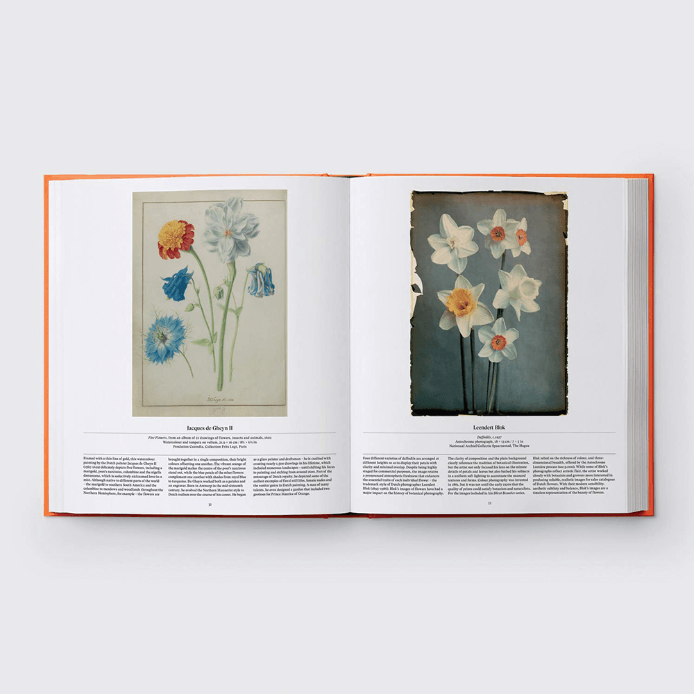 Flower: Exploring the World in Bloom