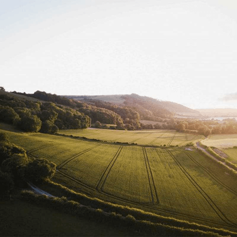 Gift Voucher Towards a Stay at The Pig In The South Downs