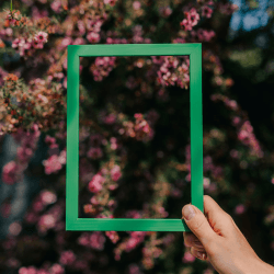 Image showing the Marco Frame, A3, Emerald Green product.