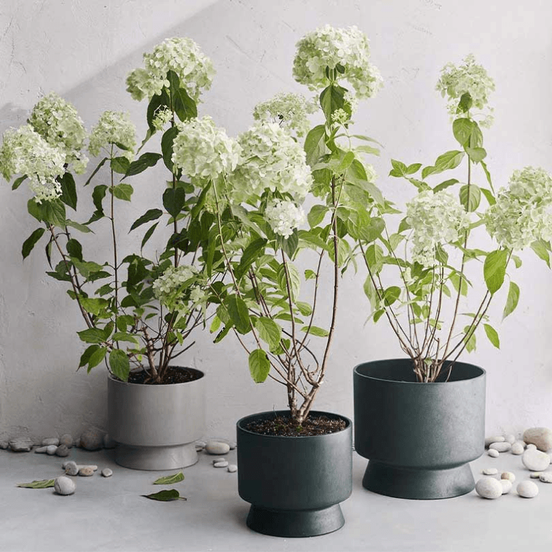 RO Flower Pot, D30cm, Green