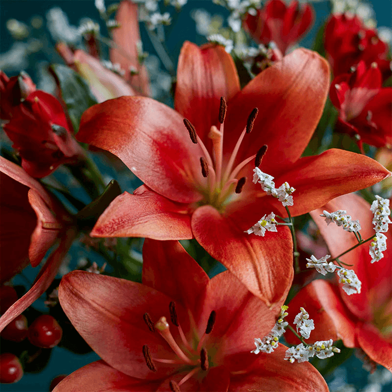 Letterbox 12 Month Flower Subscription