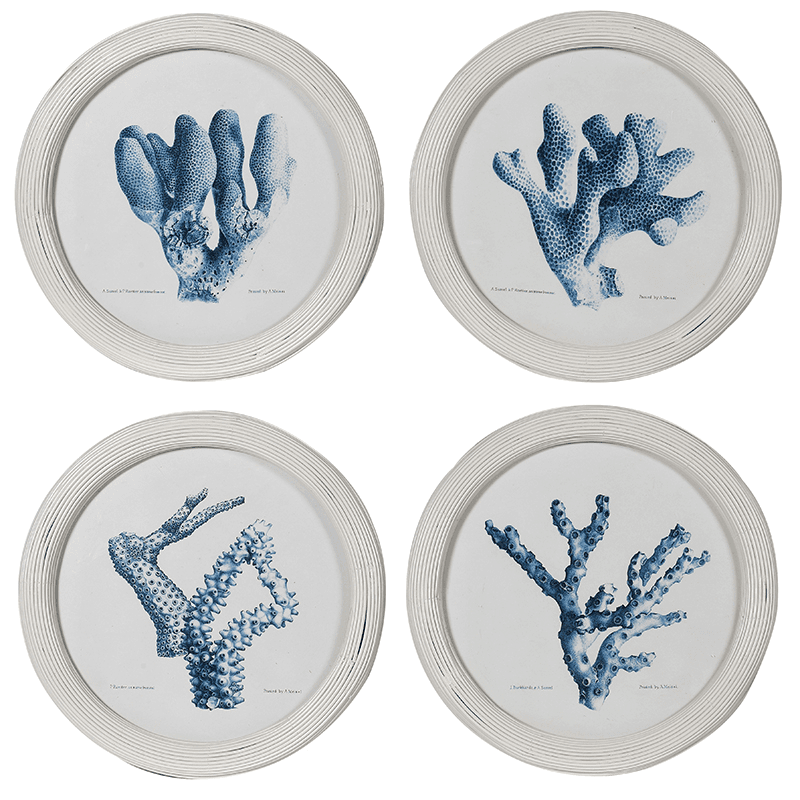 Coral Set of 4 Prints, D35cm, Blue