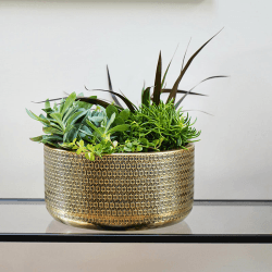 Image showing the Solis Bowl, D30cm, Gold product.