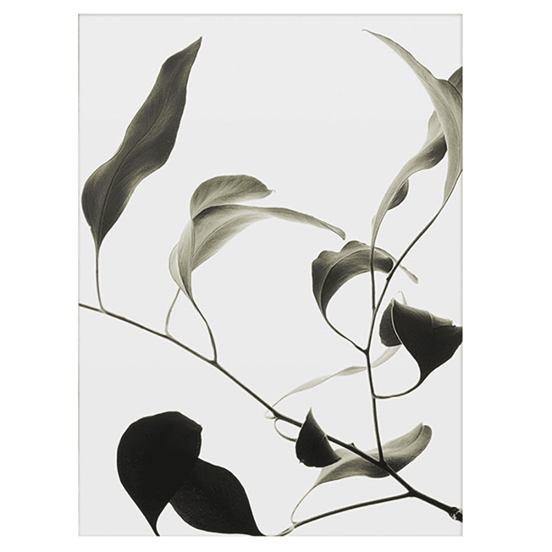 Floating Leaves 09 - A2 FSC Print, 60 x 42cm