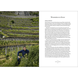 Image showing the Joe Campanale Vino: The Essential Guide To Real Italian Wine product.