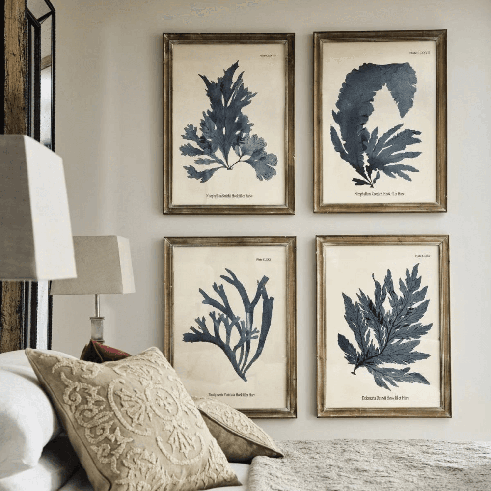 Seaweed Set of 4 framed prints, H61 x W83cm