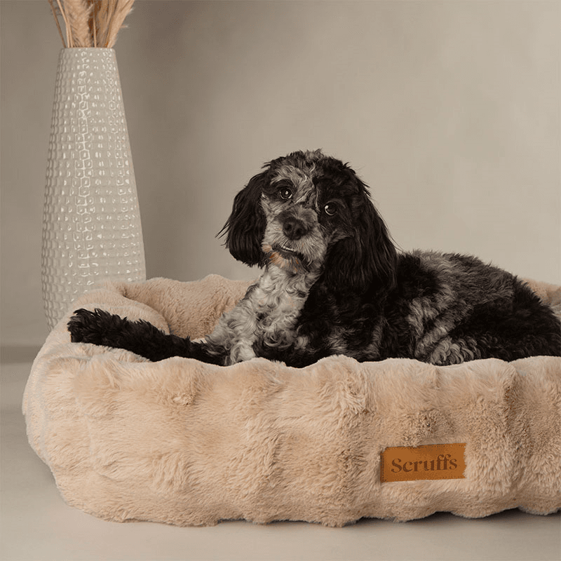 Supersoft Alpine Box Bed, 75 x 60cm, Champagne