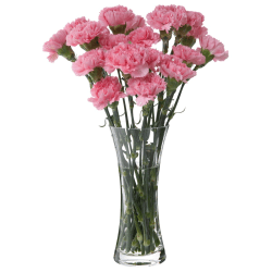 Image showing the Florabundance Carnation vase, H26cm, Clear product.