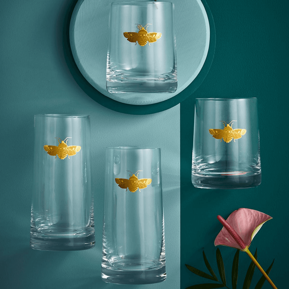 Creatures of Curiosity Pair of Highball Tumblers, Clear