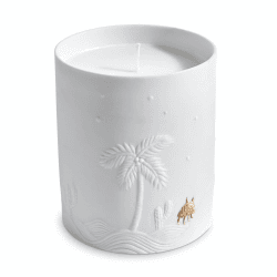 Image showing the Haas Mojave Palm Candle product.