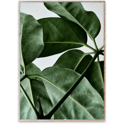 Image showing the Green Home 01 Print, 30 x 40cm, Multi product.