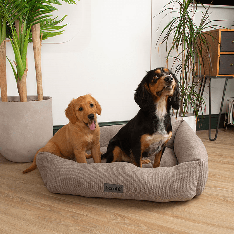 Seattle Box Bed, 90 x 70cm, Stone Grey