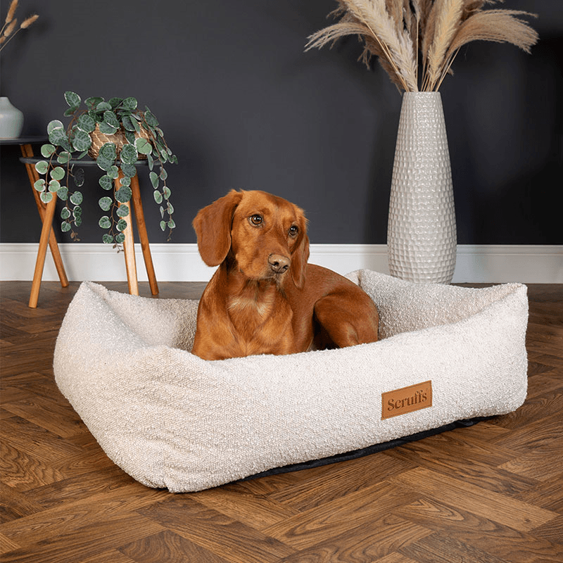 Luxury Boucle Box Bed, 75 x 60cm, Ivory