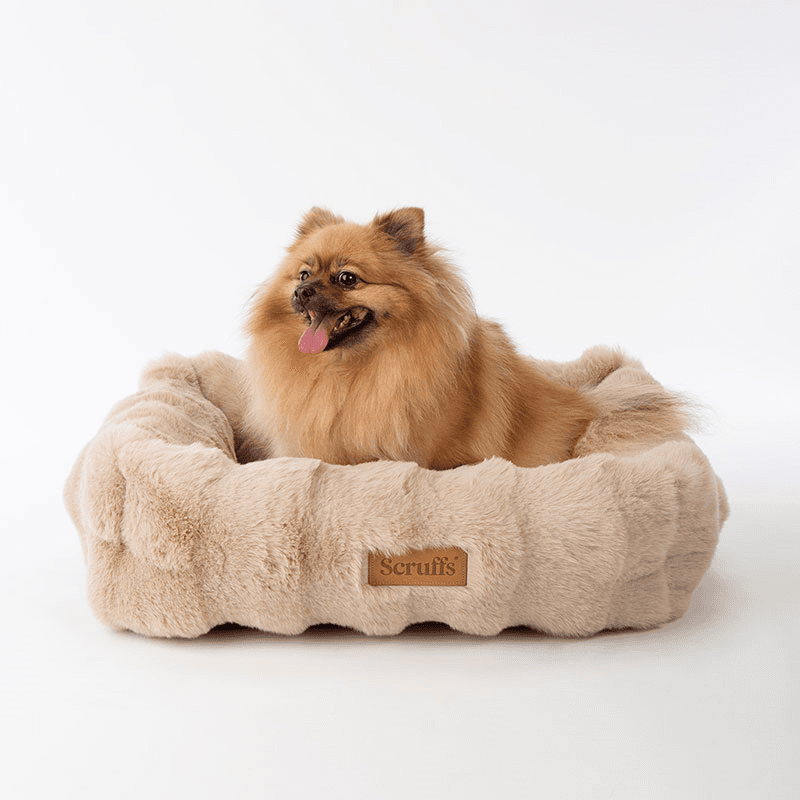 Supersoft Alpine Box Bed, 60 x 50cm, Champagne