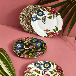 Image showing the Creatures of Curiosity Set of 4 Plates, D27cm, Multi product.