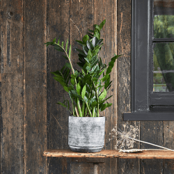 Image showing the Tivoli Planter, D21cm, Earth product.