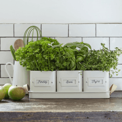 Image showing the Enamelware Herb Pot, Set of 3, Stone, Cream product.