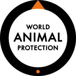 Image showing the A Donation Towards World Animal Protection product.