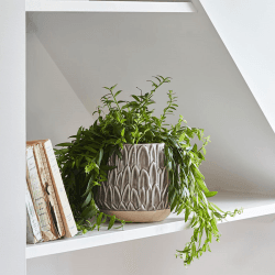 Image showing the Arles Leaf Embossed Planter, D22cm, Brown product.