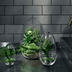 Image showing the Grow Medium greenhouse, D12 x H24cm, Clear product.