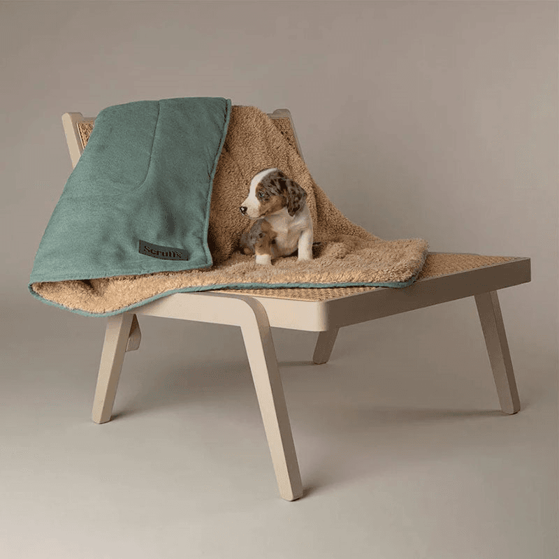Snuggle Pet Blanket, 110 x 72.5cm, Sage Green