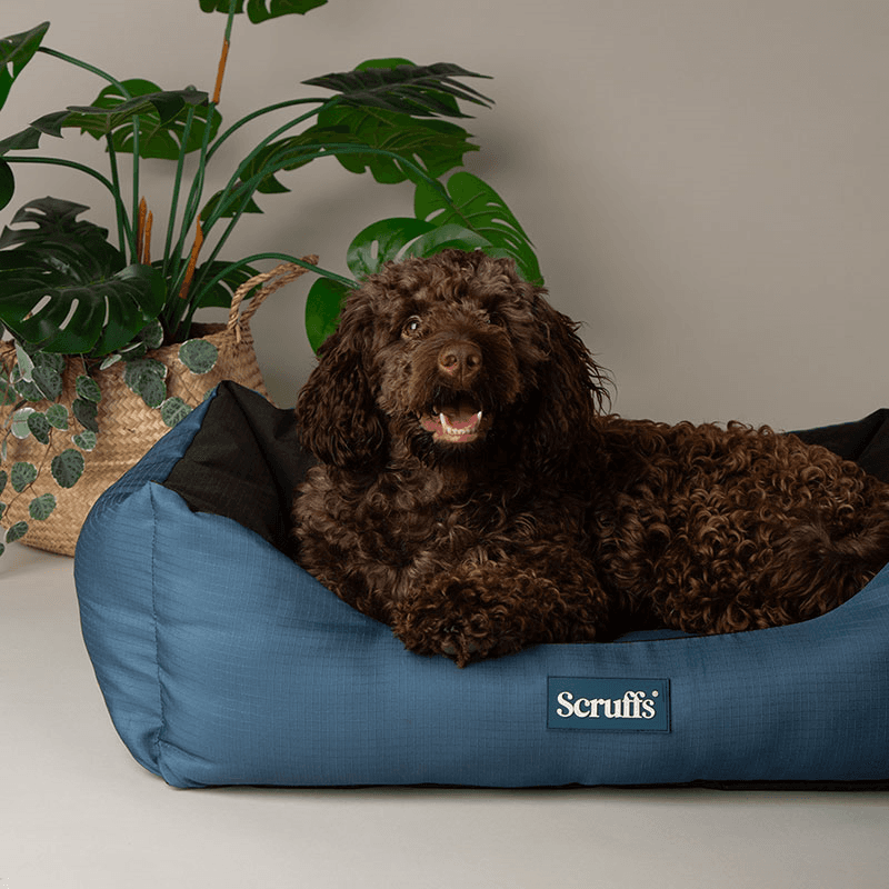 Expedition Dog Bed, 75 x 60cm, Atlantic Blue