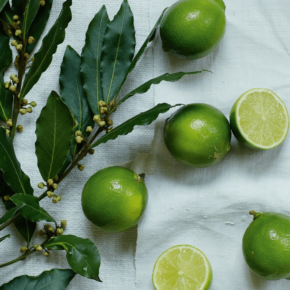 Lime & Bay Mini home scenting set