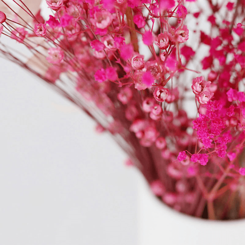 Pinks Medium hand-tied bouquet, H36-42cm, Bonbon