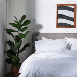 Image showing the Washed Cotton Percale Super King Fitted Sheet, White product.