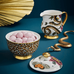 Image showing the Creatures of Curiosity Covered Sugar Bowl, White product.
