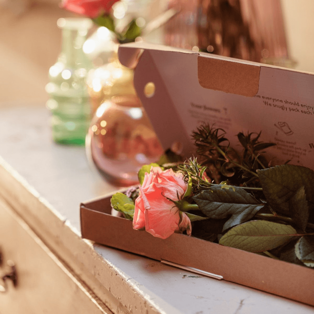 Regular Letterbox flower subscription, 6 months