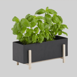 Image showing the Botanic Box, Black product.