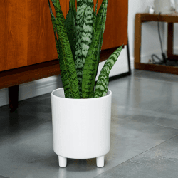 Image showing the Pisa Planter, H20 x W24 x D24cm, White product.