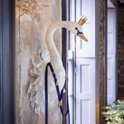 Image showing the Majesty Swan Head Wall Decoration product.