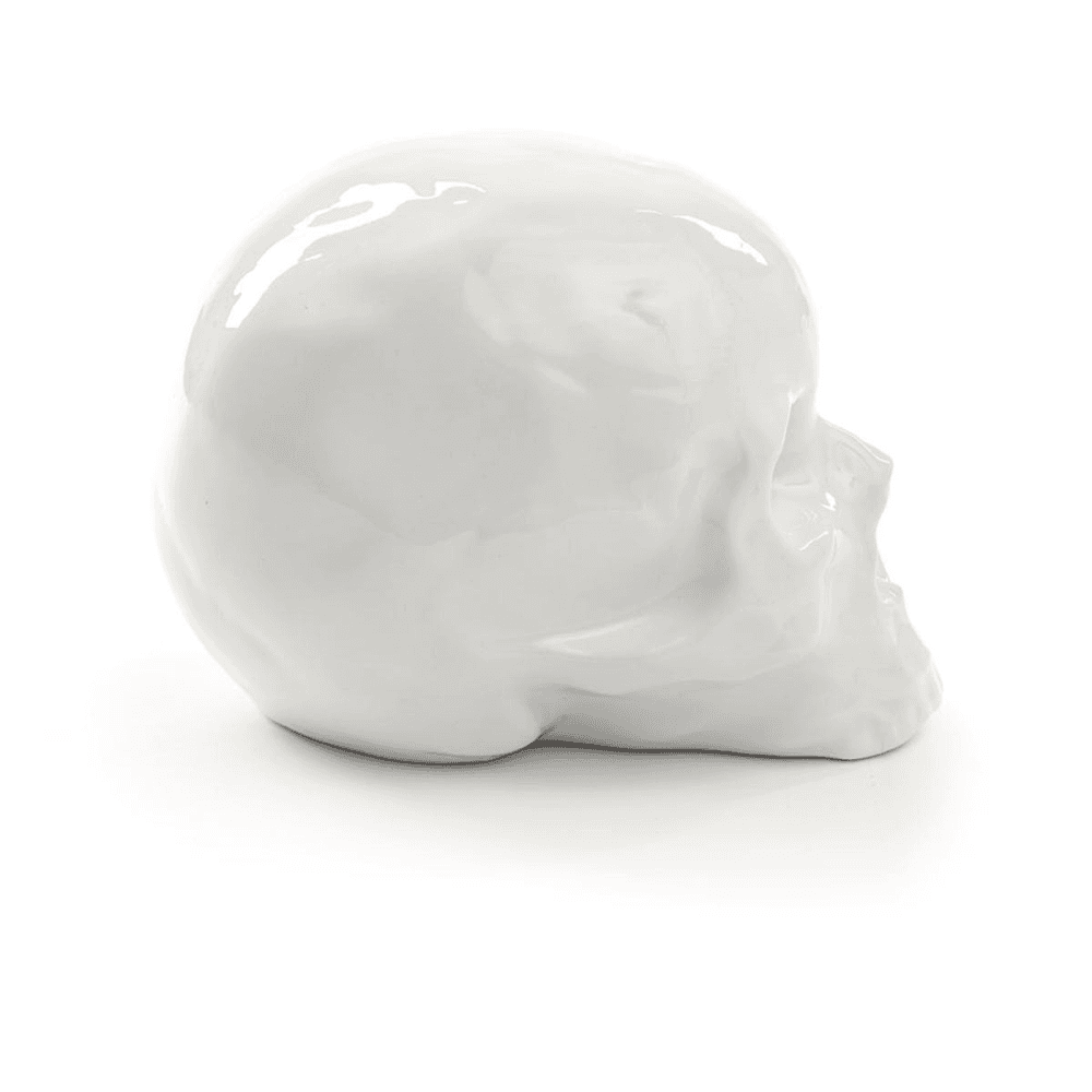 Skull, Memorabilia, White