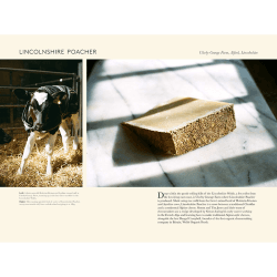Image showing the Angus D. Birditt Portrait Of British Cheese product.