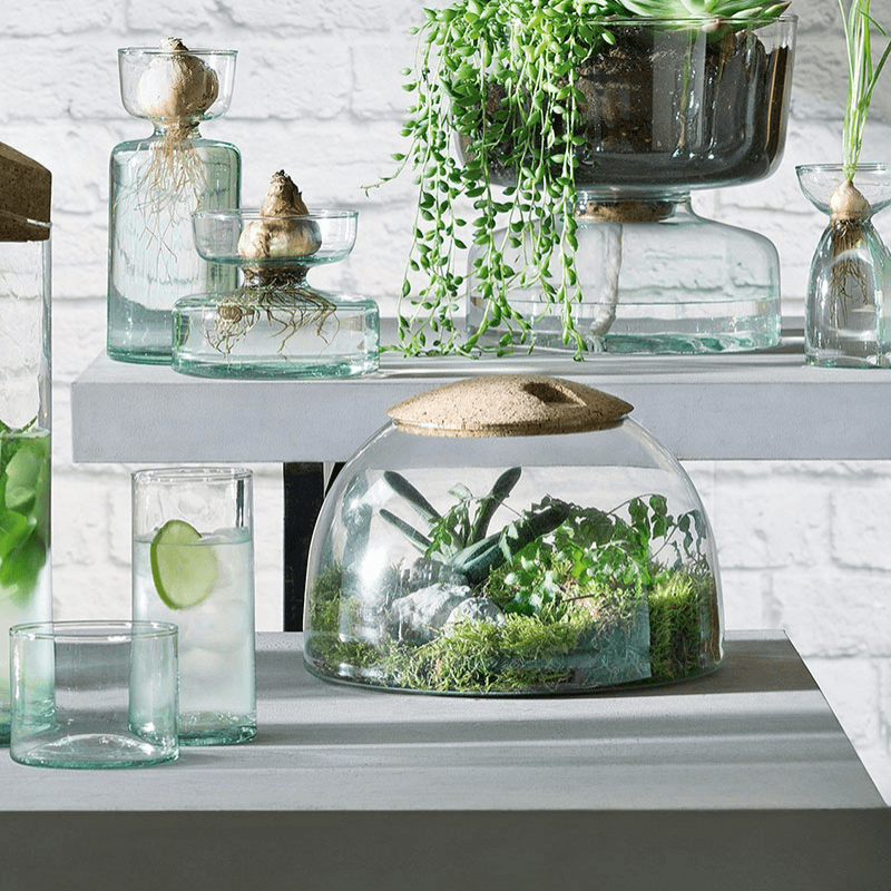 Canopy Garden terrarium, H16.5 x W24cm, recycled glass and cork