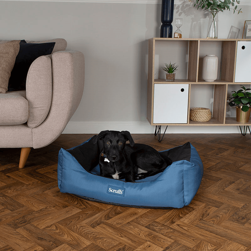 Expedition Dog Bed, 60 x 50cm, Atlantic Blue