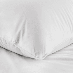 Image showing the Perfect Everyday Duck Feather & Down Collection - Medium/Firm Pillow super king, W50 x L90cm product.