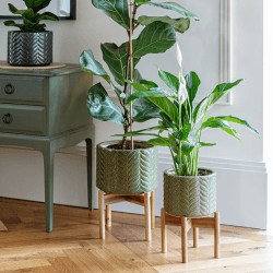Image showing the Aspen Planter, D22cm, Olive product.