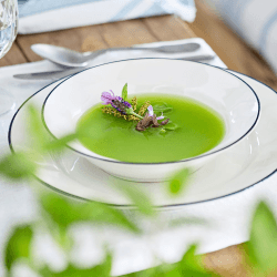 Image showing the Beja Set of 6 soup/pasta plates, 21cm, white with blue rim product.