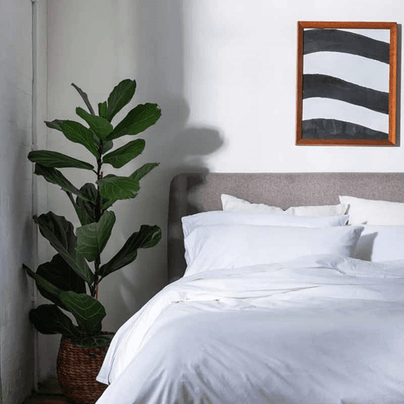 Washed Cotton Percale Double Duvet Cover, White