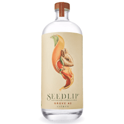 Image showing the Seedlip Grove 42 product.