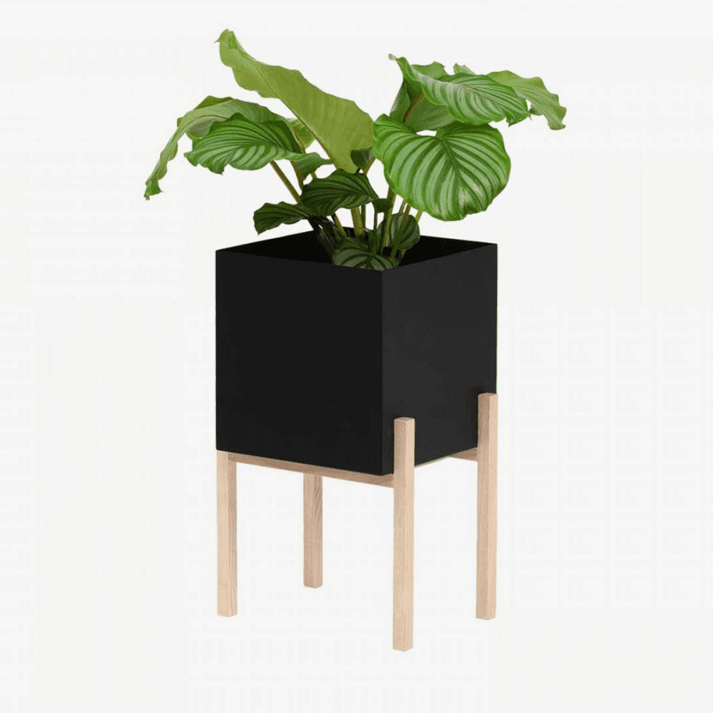 Botanical High planter, H182cm, Black